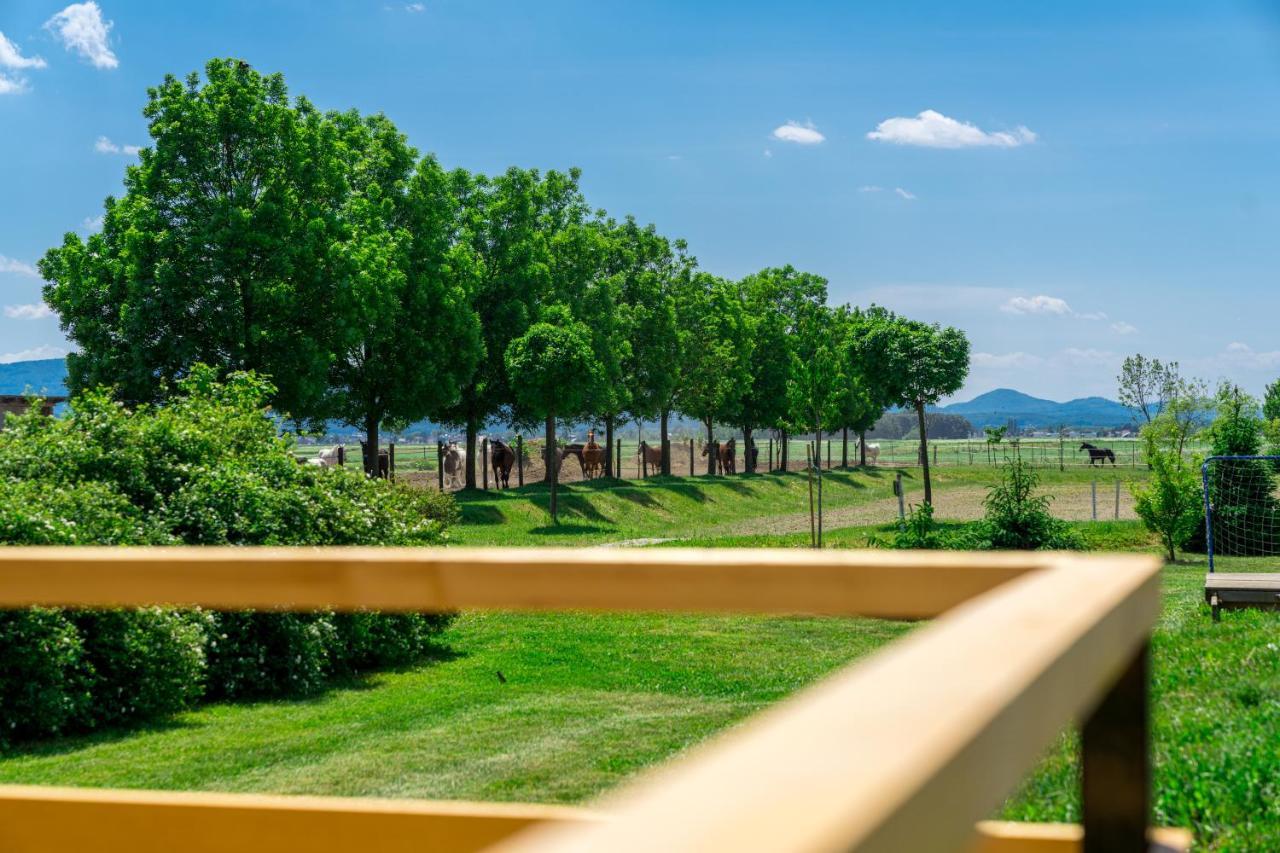 Horse Glamping Park Otel Cirkovce Dış mekan fotoğraf