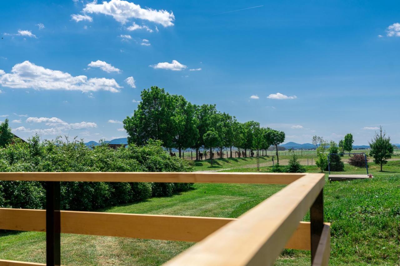 Horse Glamping Park Otel Cirkovce Dış mekan fotoğraf